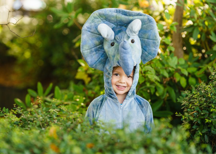 Where to buy or rent fancy dress costumes for kids in Singapore