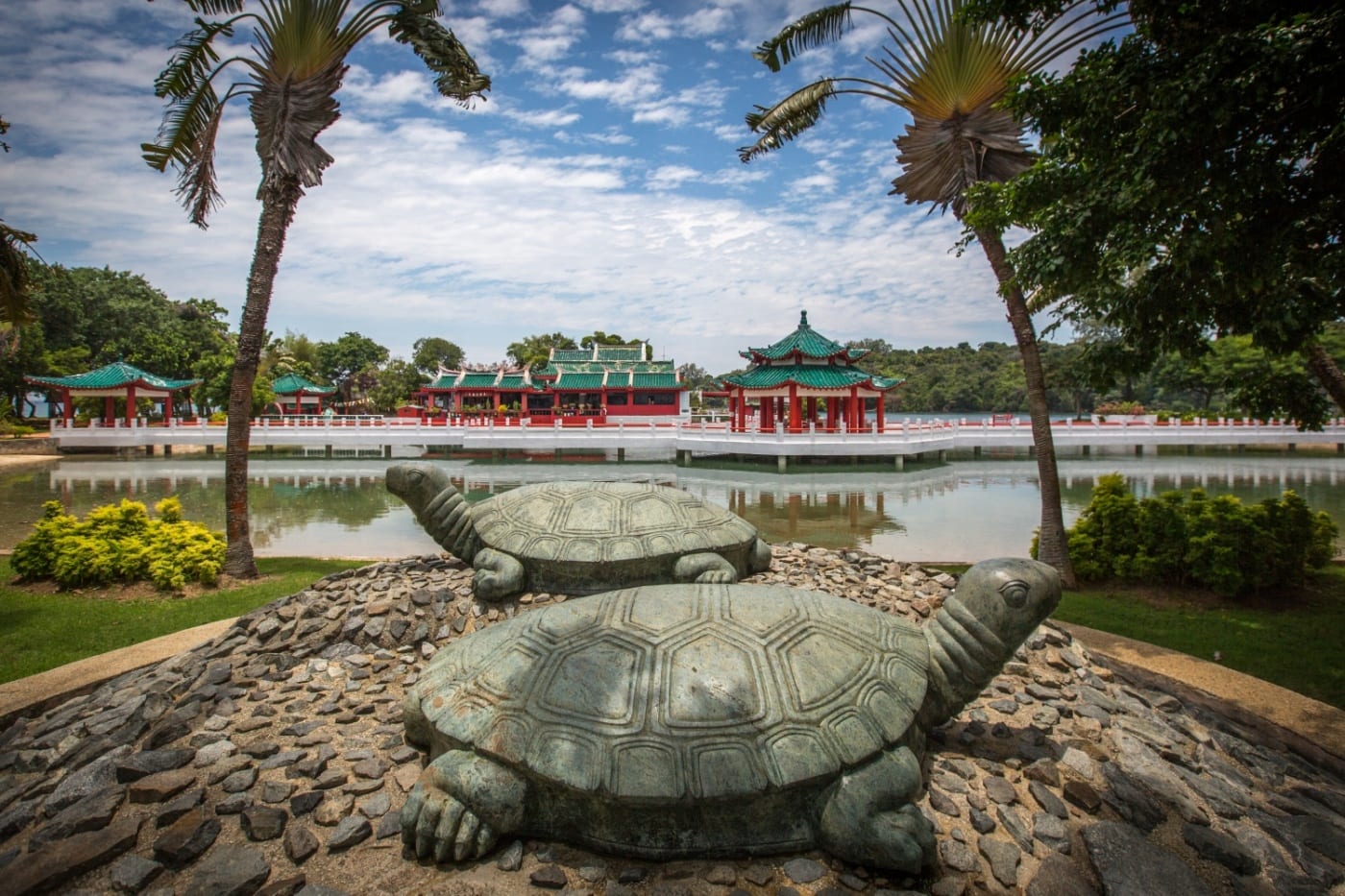 Kusu means turtle in Malay. Kusu Island, one of Singapore's offshore islands