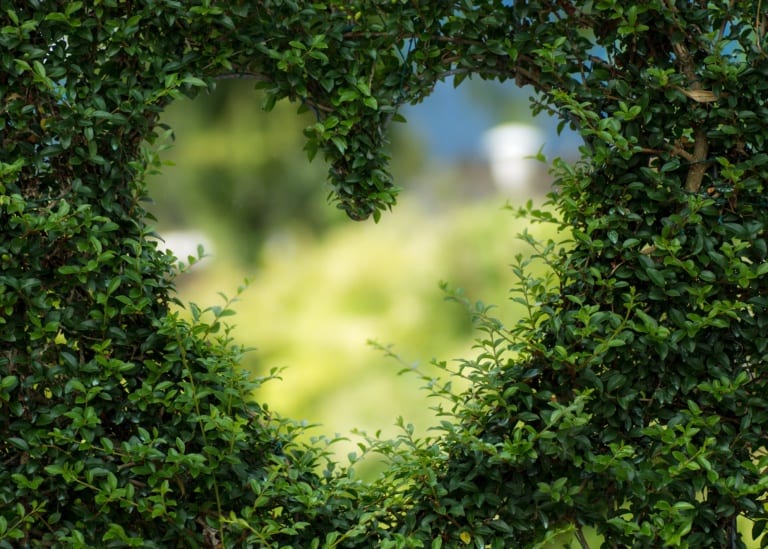 Teaching kids about sustainability: an age-appropriate guide, from toddlerhood to teenagers