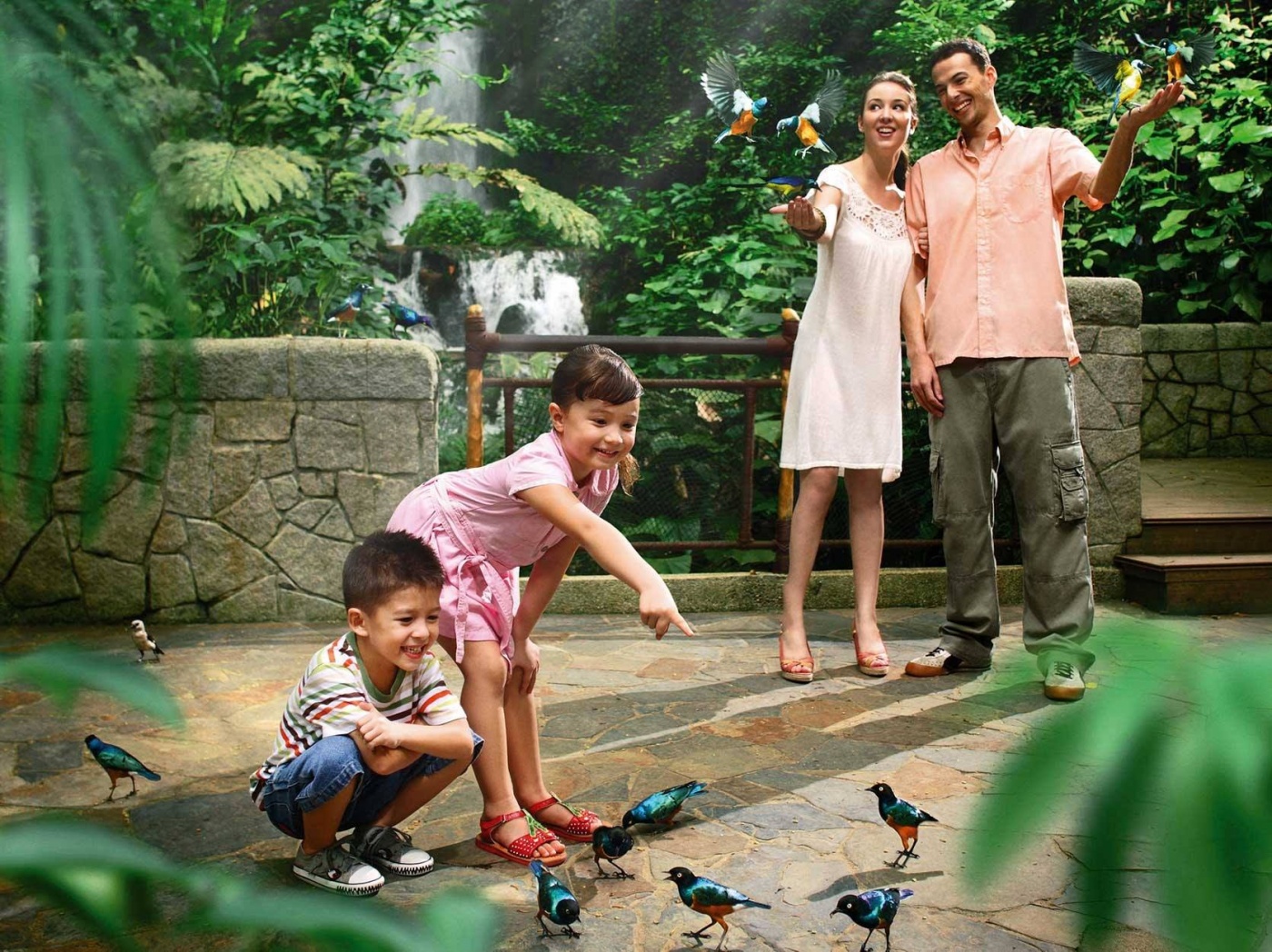 things-to-do-singapore-weekend-jurong-bird-park