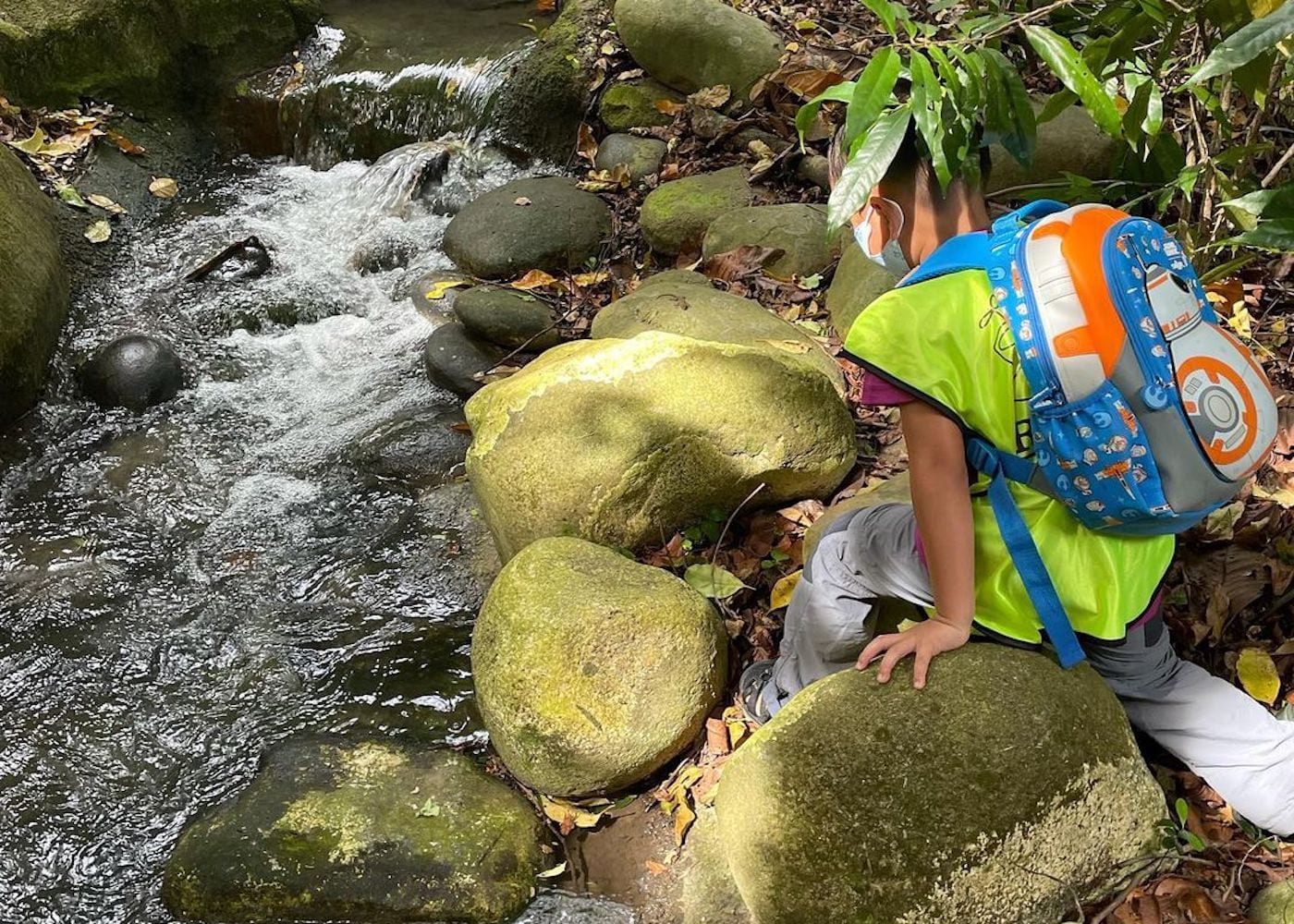 Roots and Boots  - Forest Schools in Singapore