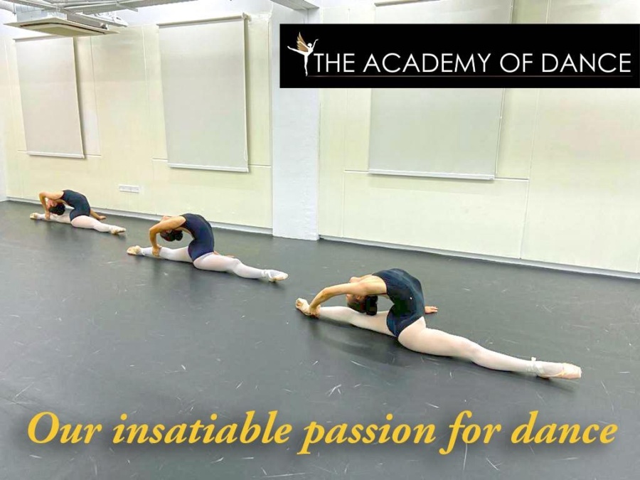 The Academy of Dance (Tampines Branch) HoneyKids Asia