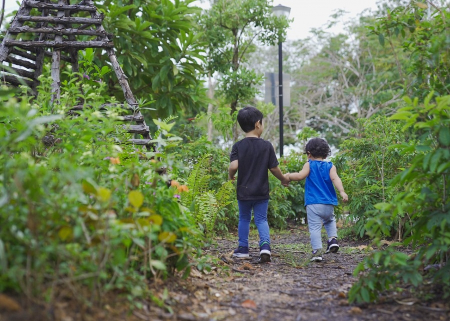 coastal-playgrove-nature-play (1)