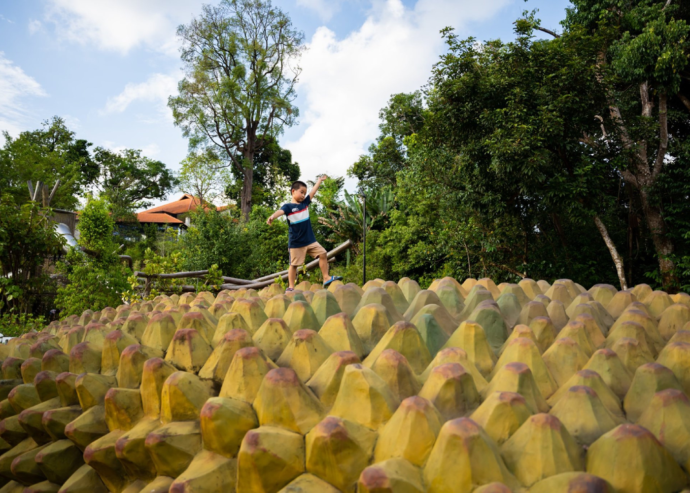 Como Adventure Grove At Singapore Botanic Gardens Honeykids Asia Como Adventure Grove At Singapore Botanic Gardens Honeykids Asia