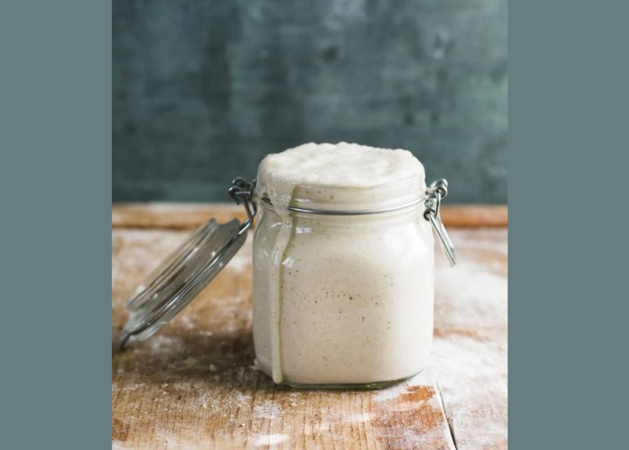 easy-to-make-bread-recipe-singapore-sourdough-starter