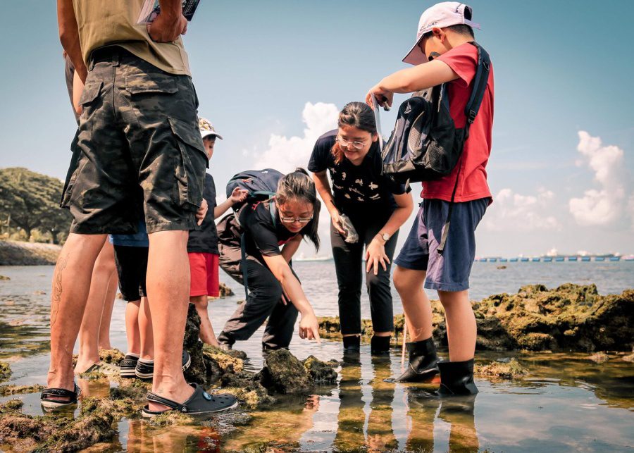 family experiences pelago young nautilus