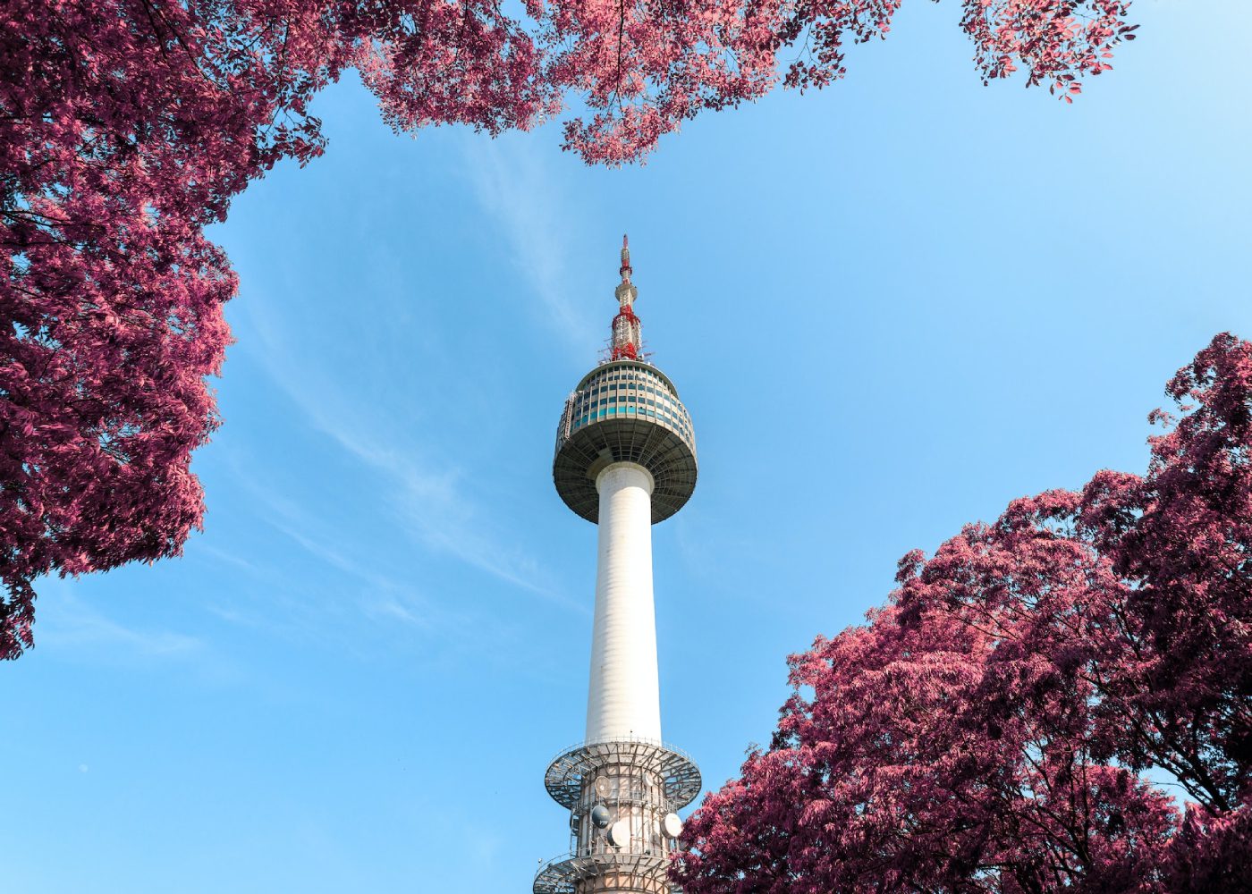 seoul-kid-friendly-guide-pexels-aleksandar-pasaric