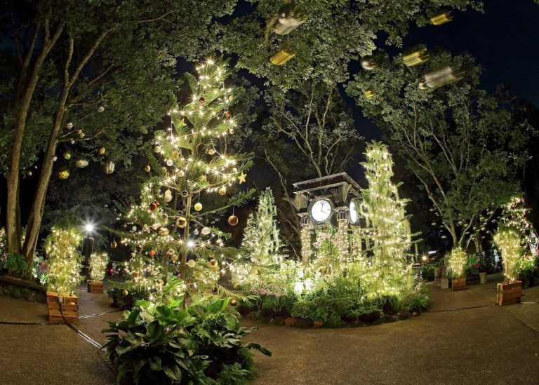Where to see 2023 Christmas lights in Singapore HoneyKids Asia