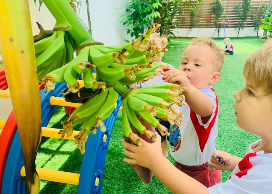 shaws preschool first day of school group activity