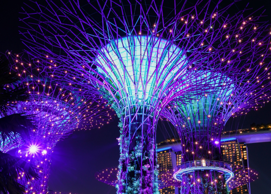 Gardens by the Bay night