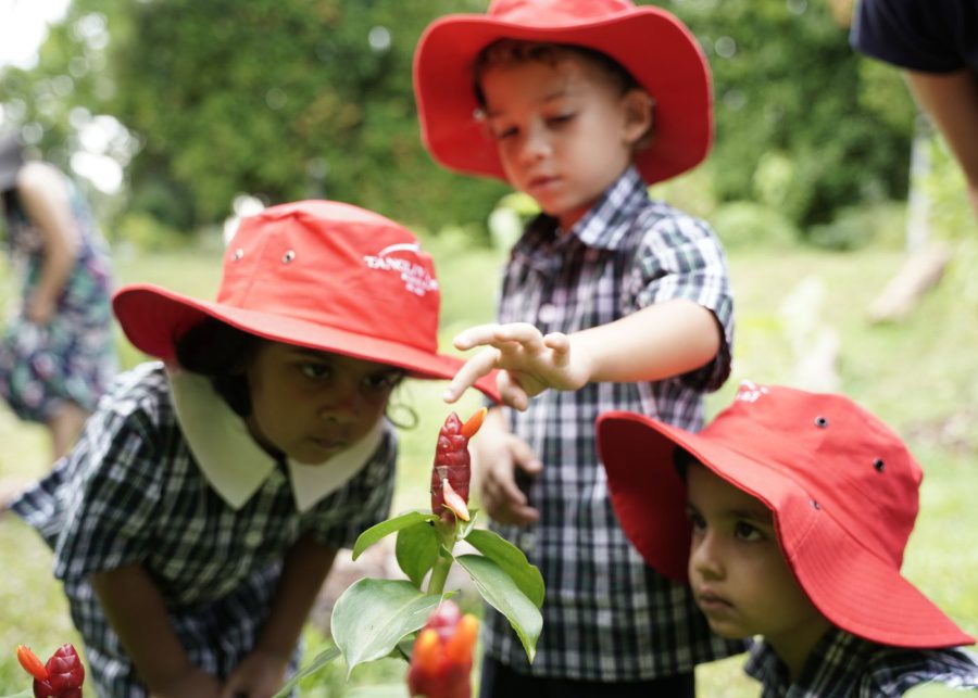 tanglin's infant school accreditation