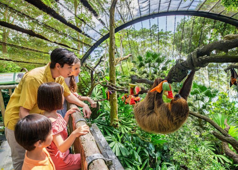 Best family deals in Singapore hotels, attractions & more HoneyKids Asia
