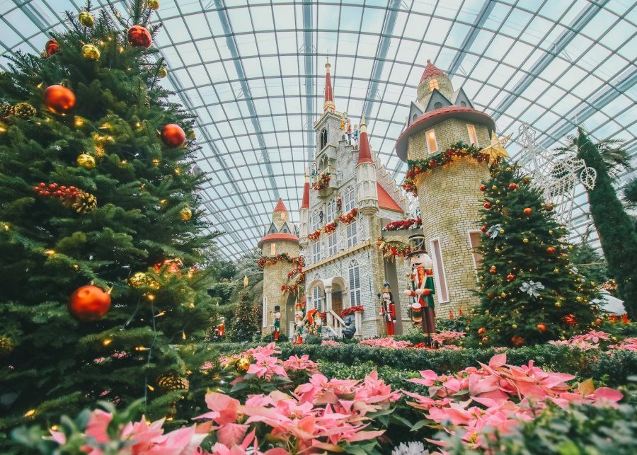 christmas event poinsettia wishes gardens by the bay 2020