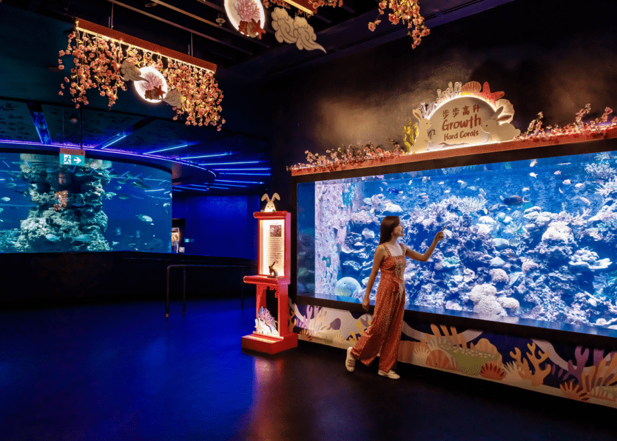 Spring in the Sea Aquarium CNY