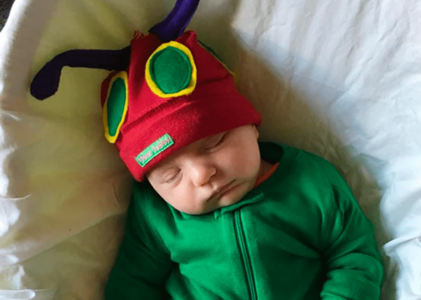 Very Hungry Caterpillar World Book Day Costume