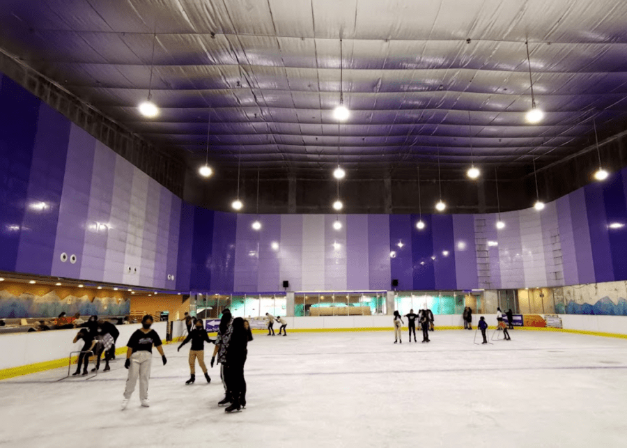 Where to go skating in Singapore HoneyKids Asia