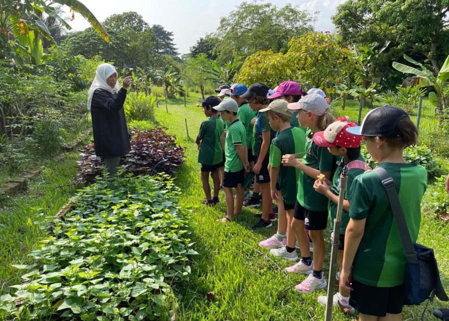 From electric vehicle chargers to building a new Eco-Garden, here’s how this international school is working towards a greener future