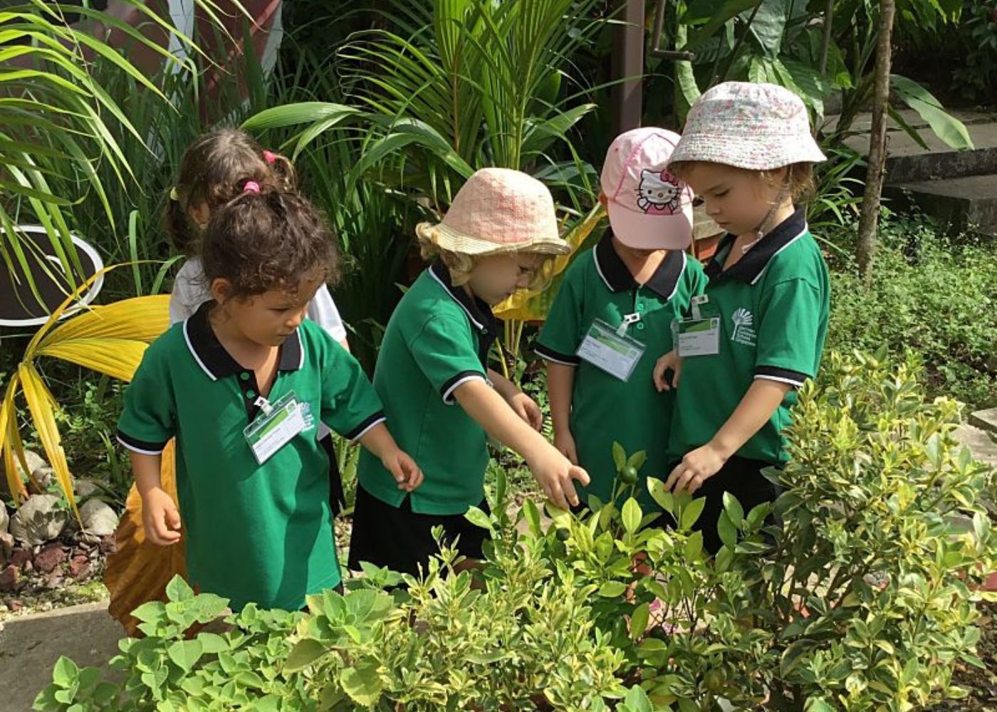 gess garden