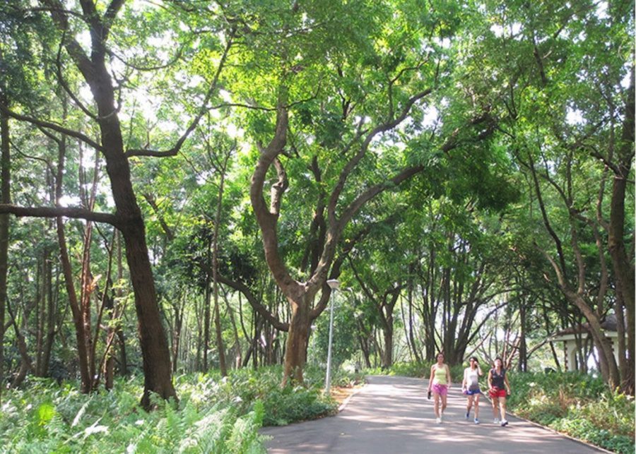 Kent. Ridge Park buona vista