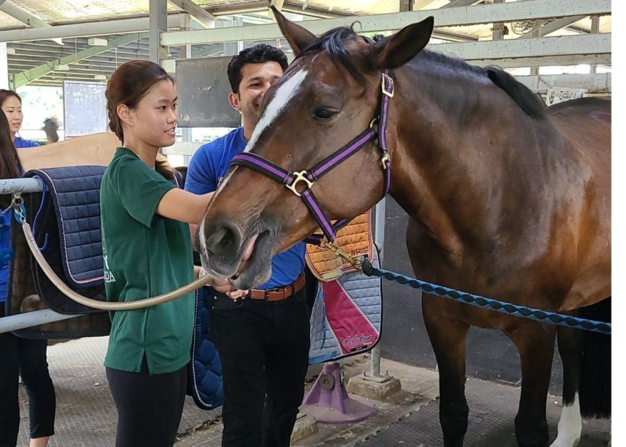 RDA volunteer opportunities singapore