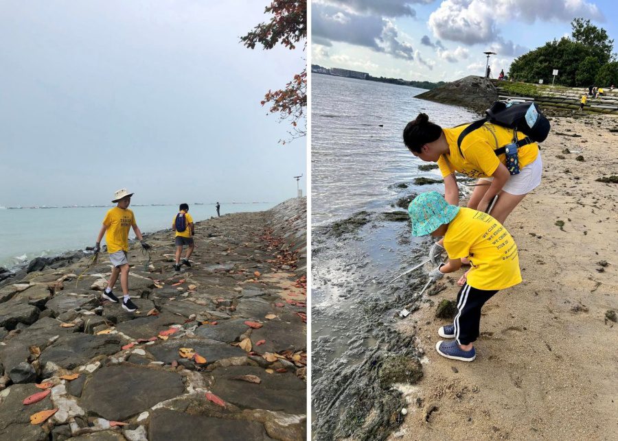 Trash Hero volunteer opportunities singapore