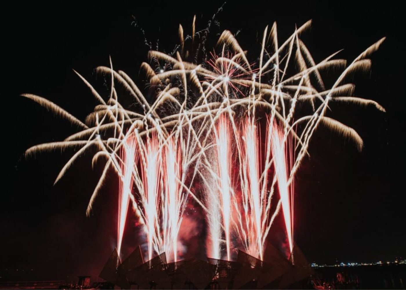 Sentosa Countdown Party 2024 With Kids | HoneyKids Asia