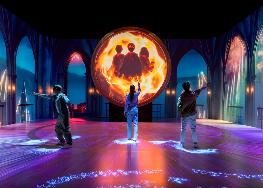 Where to find Harry Potter in singapore