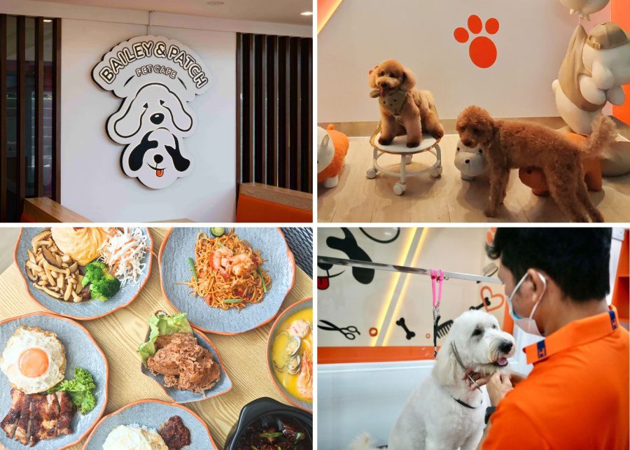 Bailey and patch pet friendly cafe dining feature