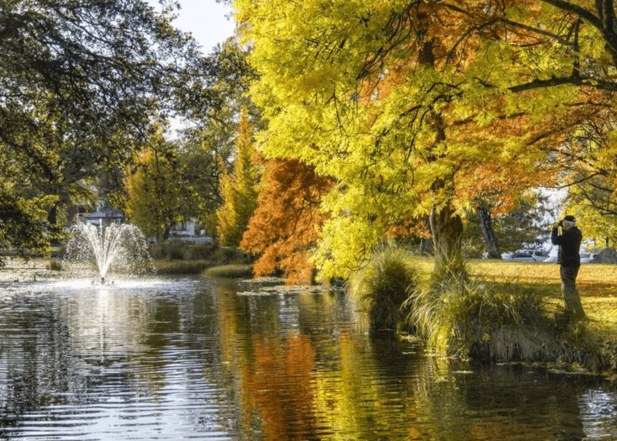 Queenstown Botanical Gardens NZ